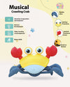 Induction Crawling Crab | Sensor-Activated Crawling Toy for Babies 6-12 Months | The HAHA Toys